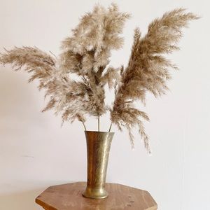 Set of Three Super Fluffy Pampas Grass Stems